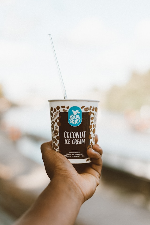 dairy-free yogurt